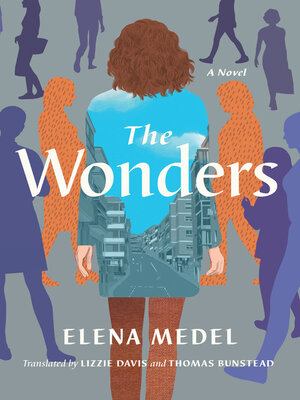 cover image of The Wonders